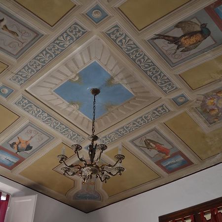 فندق سيينافي  La Casa Di Antonella المظهر الخارجي الصورة